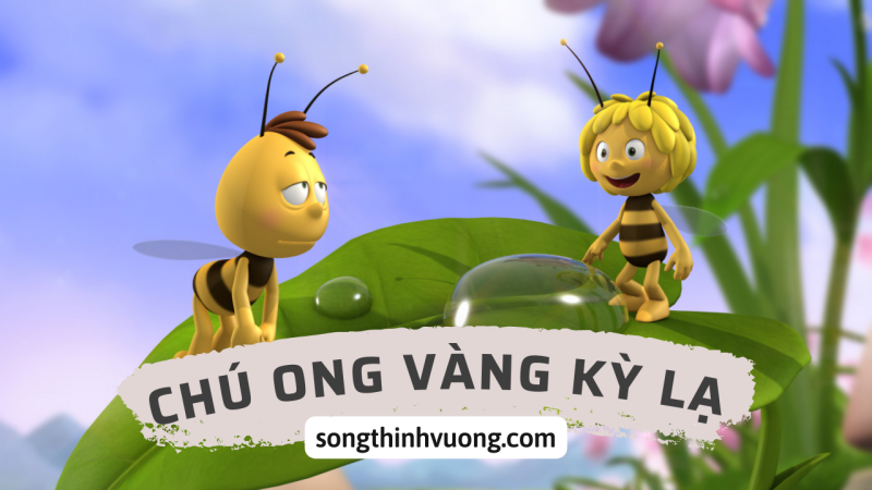 chu-ong-vang-ky-la-songthinhvuong.com