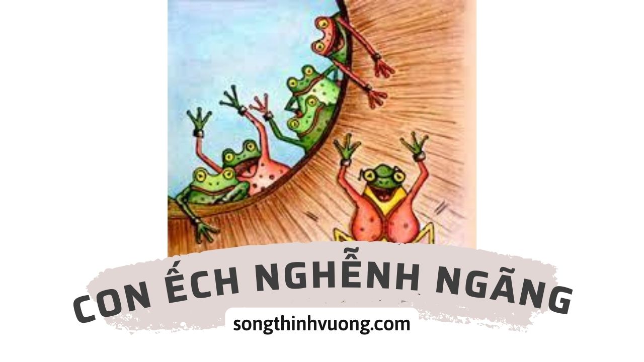 con-ech-nghenh-ngang-songthinhvuong.com