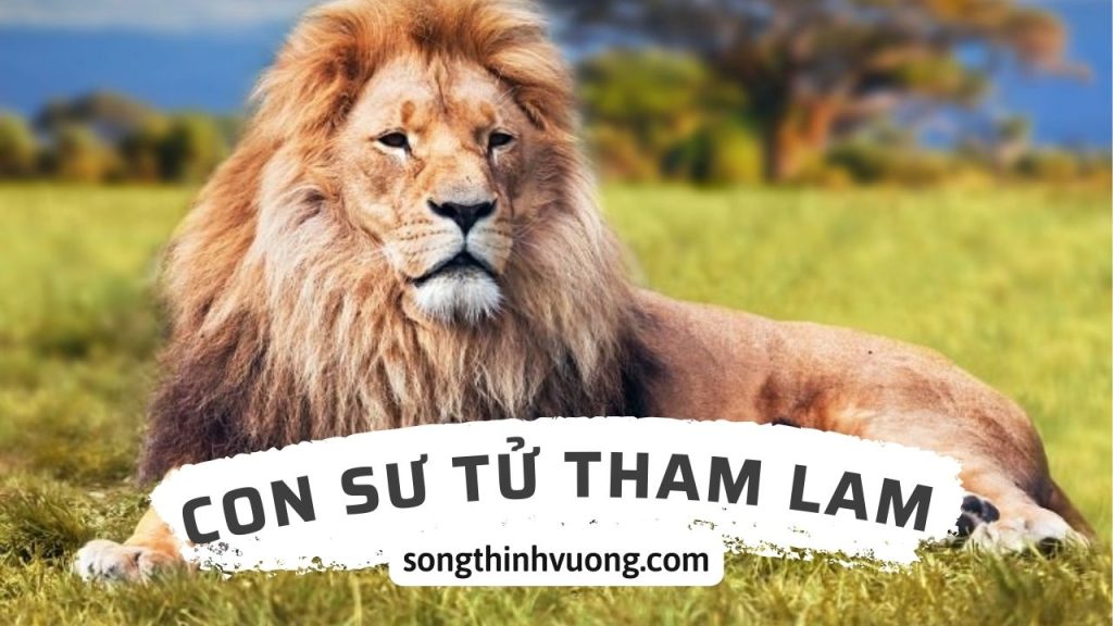 con-su-tu-tham-lam-songthinhvuong.com