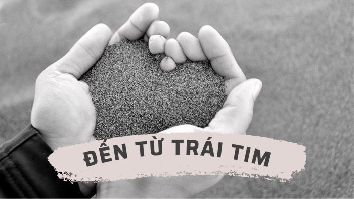 den-tu-trai-tim-songthinhvuong.com