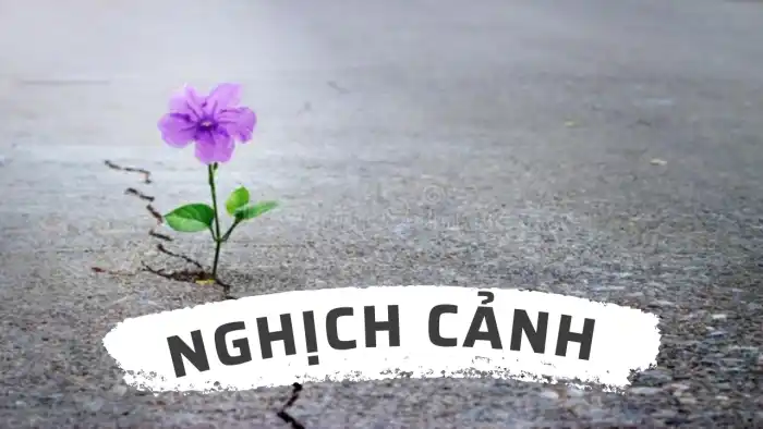 nghich-canh-songthinhvuong.com