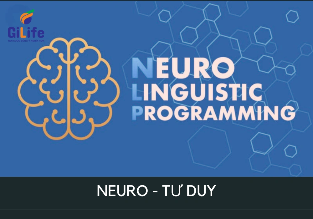 GiLife-Neuro-tu-duy-1000x700
